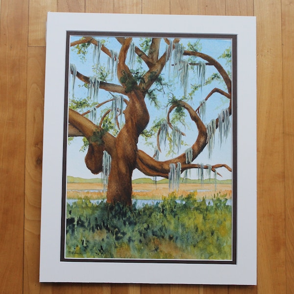 Mossy Southern Live Oak covered with Spanish Moss, an original watercolor painting, matted to fit 11 x 14 in frame (not included)