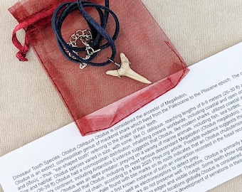 Shark tooth Fossil Necklace Pendant Mackerel Magalodon collectible tooth charm oddity Educational Curiosity beach fashion surfer style gift