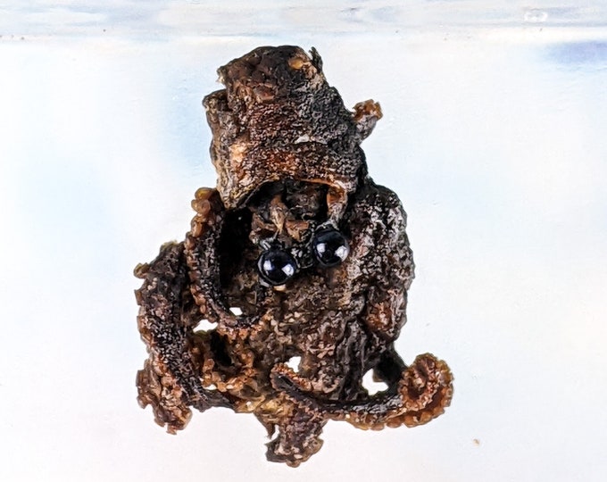 Octopus Baby specimen collectable craft crafting oddity curiosity decor Ocean Marine preserved specimen Octo Curiosities