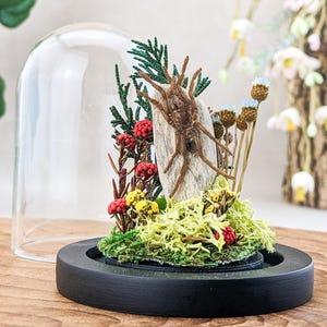 May include: A decorative terrarium featuring a brown tarantula on a piece of wood, surrounded by miniature plants and flowers. The display is enclosed under a clear glass dome, set on a black base, creating a unique home decor item.