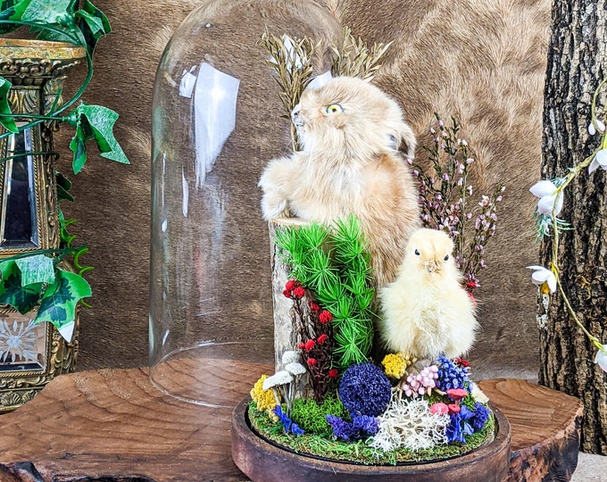 Baby Bunny Rabbit & Duck Floral Taxidermy Oddities Curiosities Victorian decor maximalism cottage core whimsical gifts spring display
