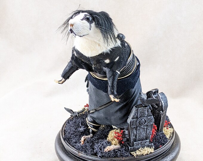 The Crow Rat Graveyard Cemetery Gargoyle Taxidermy Display Stand preserved specimen spooky macabre Eric Draven Brandon Lee Movie collectible
