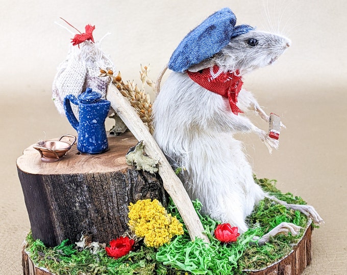 A41b Harold the Hobo Mouse Taxidermy display oddities curiosities collectible curiosity oddity cabinet rat preserved specimen funny gift