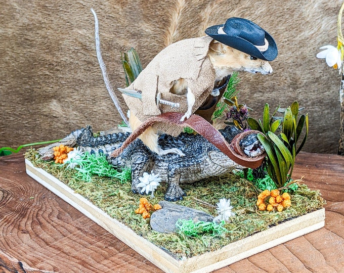 Crocodile Dandee Mouse Display Taxidermy Curiosities Oddities Specimen gag gift man cave funny collectible humor decor preserved mount