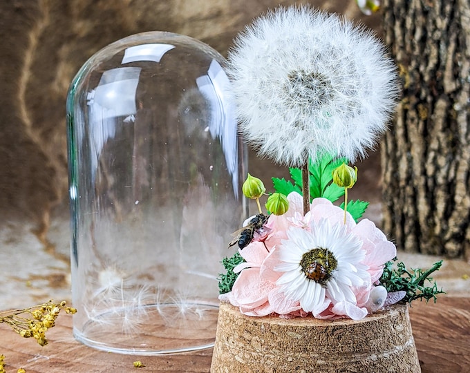 L148b Real Dandelion Head & Honey Bee Glass Dome Curiosities Oddity collectible Natural insect cottagecore odd Display Whimsical fairy wish