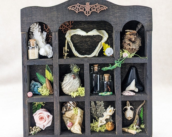 Fairy Bookcase Haunted Witches Cabinet Miniature Spooky Oddities Curiosity Cottagecore Decor occult diorama pagan witchcraft mini doll house
