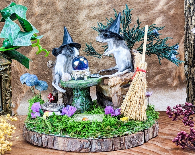 Two witch mice garden Taxidermy Oddities Curiosities Decor SpookyOddities Curiosity Cottagecore Decor occult diorama pagan witchcraft