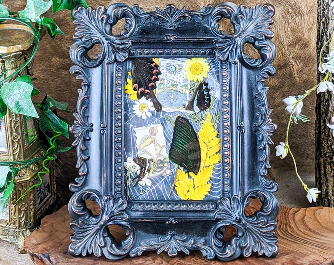 Swallowtail Butterfly & Wing Assortment Frame Taxidermy Fancy Framed decor lepidopterology bug collector whimsical gifts cottagecore insects