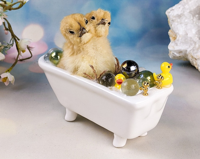 F2j Two-Headed Chick Bubble bath baby chick Bathtub Taxidermy Curiosities Oddity Home Decor Taxidermy Curiosities Oddities Baby Domestic odd