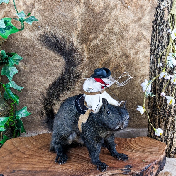 Taxidermy Squirrel Etsy taxidermy-squirrel-etsy