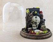 Treeshrew Skull & Chicken Foot -  faux monkey paw - shrunken head w/ real beetles glass dome display Taxidermy Oddities Halloween