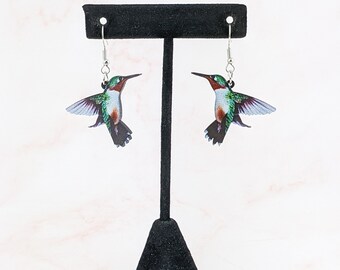 Hummingbird Earrings Oddities Curiosity Mystical  jewelry acrylic Colorful beautiful fashion Curiosity Oddity Dangle Earring Gift