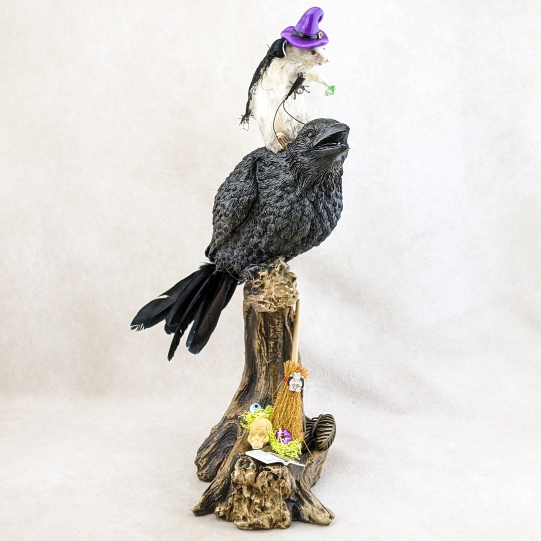 Crow Mouse Mouse Witch Taxidermy Crow Display Oddities Curiosities Goth ...