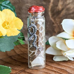May include: A small glass bottle with a cork stopper and a red wax seal. Inside the bottle are pieces of snake skin. A silver snake charm hangs from the cork. The background includes yellow and white flowers.