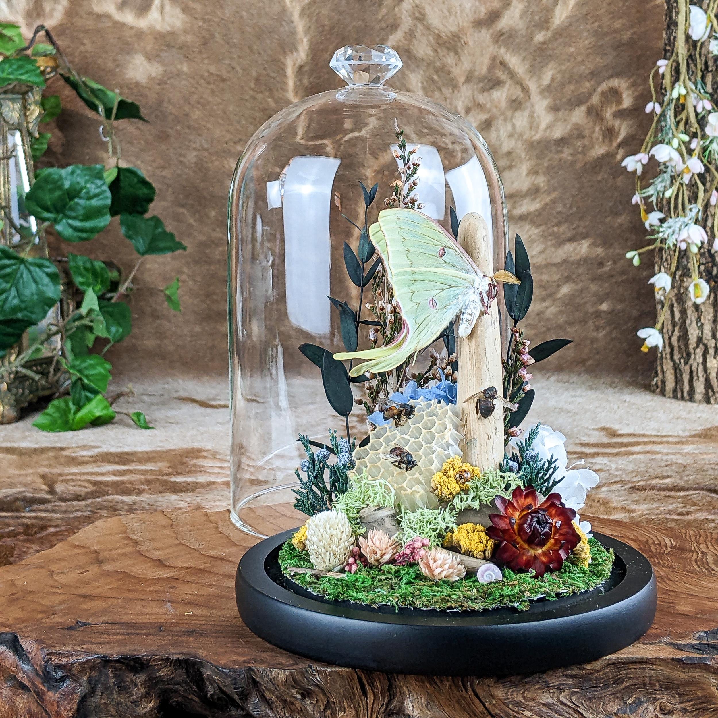 Acchiappasole In Vetro Colorato Luna Moth | Decorazione Da Finestra Fatta A Mano - 5