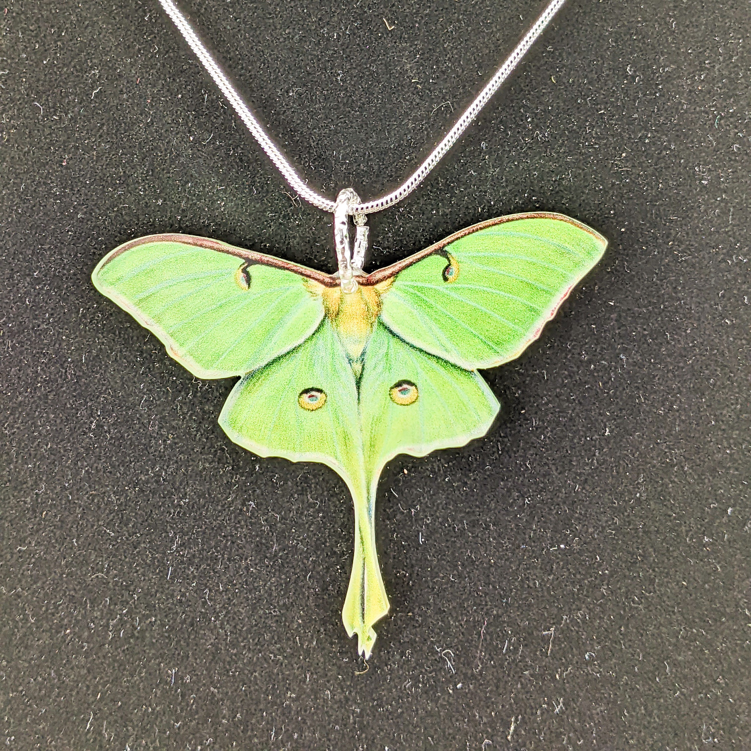 Crystal Moon Moth Silver Necklace From Restyle