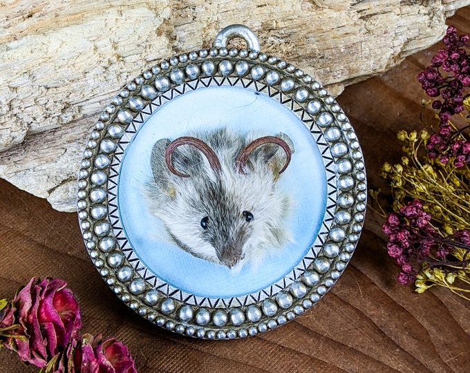Mouse Head "Mousalope" Magnet Taxidermy Real Display Curiosities Oddities cryptid mythical creature folklore gag gift preserved rodent