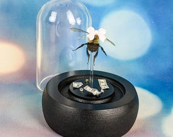 Buzz-Worthy Burlesque Bumble Bee on Miniature Stripper Pole in Glass Dome Taxidermy Oddity Curiosity collectible display preserved specimen