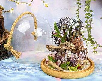 Toadcrab Collectible specimen display Curiosity Cabinet Nautical Sea Oddity Educational Marine Ocean Specimen Oddities beach home decor gift