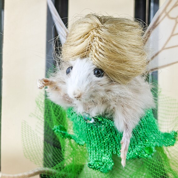 Tinker Bell Mouse Caught in Lantern Taxidermy Oddities Curiosities