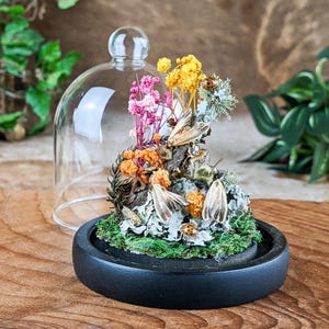 May include: A miniature terrarium under a glass dome. The terrarium features dried flowers in pink, orange, and yellow, along with small insects and moss. The base is a black, circular dish.