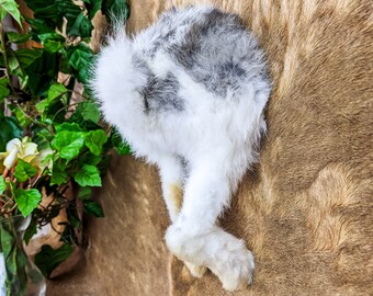 Rabbit Crush Ass Rabbit Crush Ass