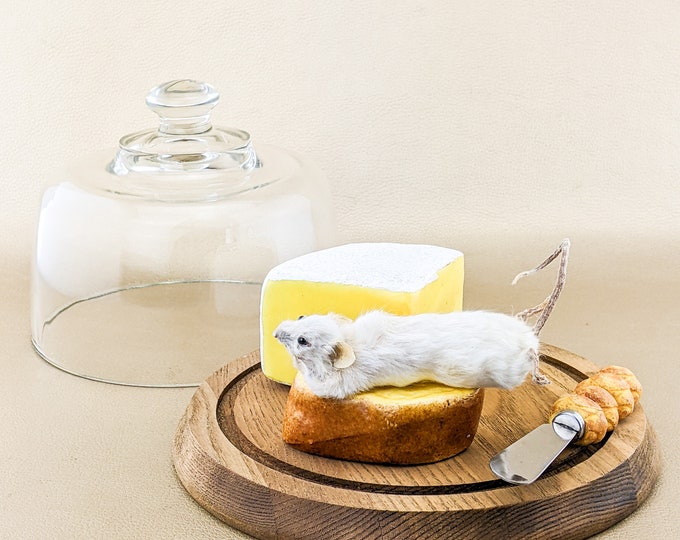 E16b Mouse w/ cheese tray vintage dome Taxidermy Kitchen Display oddities curiosities collectible home decor cottage core gag gift funny