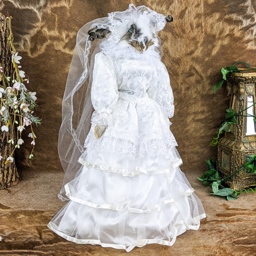 Rabbit Victorian Doll Fancy Taxidermy Oddities Curiosities Display ...