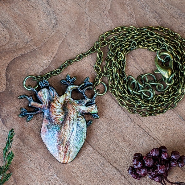e21c Anatomical  Heart Necklace Oddities Curiosity Cardiac Atrium jewelry Anatomy Heart Pendant Science Geek Love Alternative Gift fashion