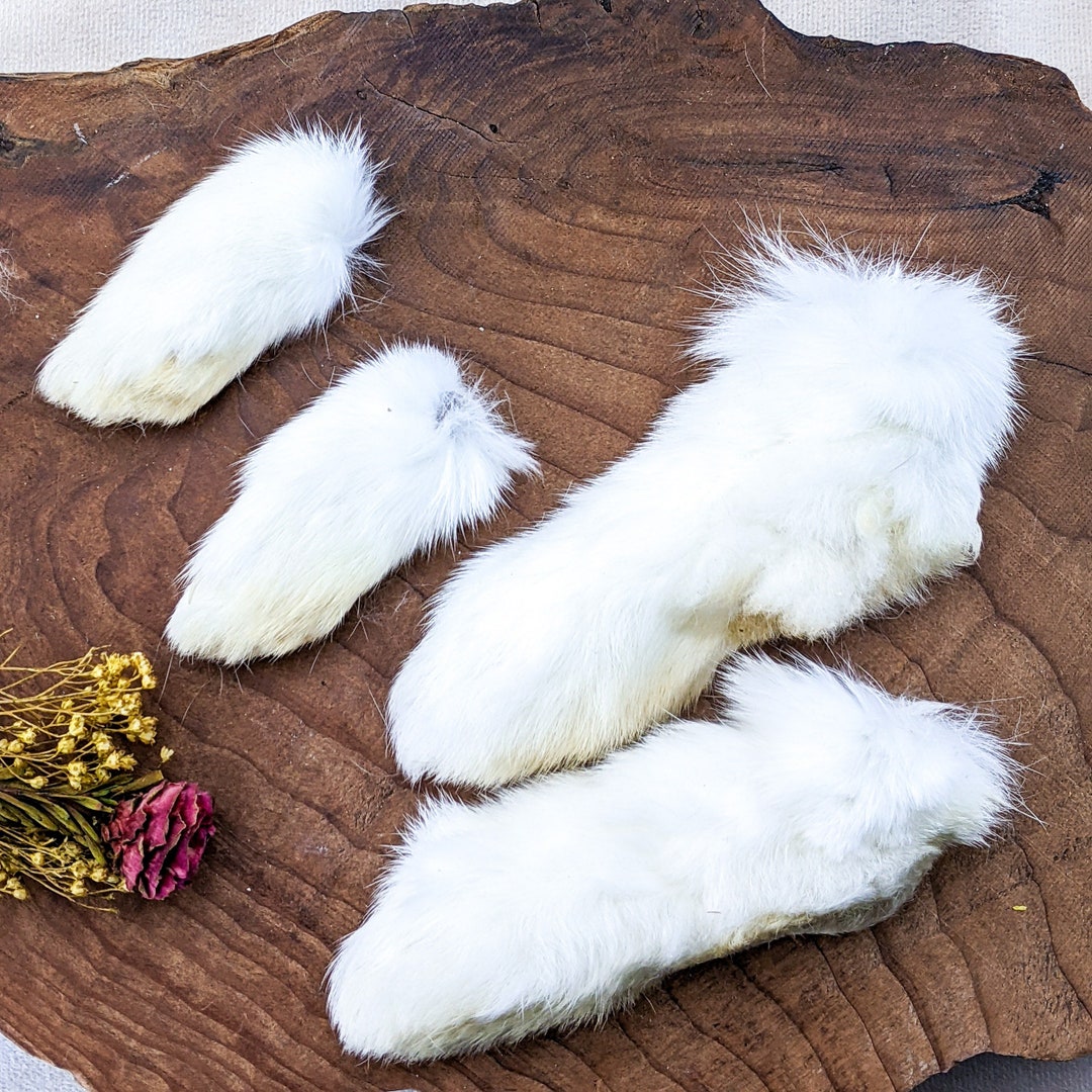 Fake Rabbit Paws Rabbit Feet Craft Taxidermy 1 Set of 4 Real Matched Fur Bunny Oddities ...