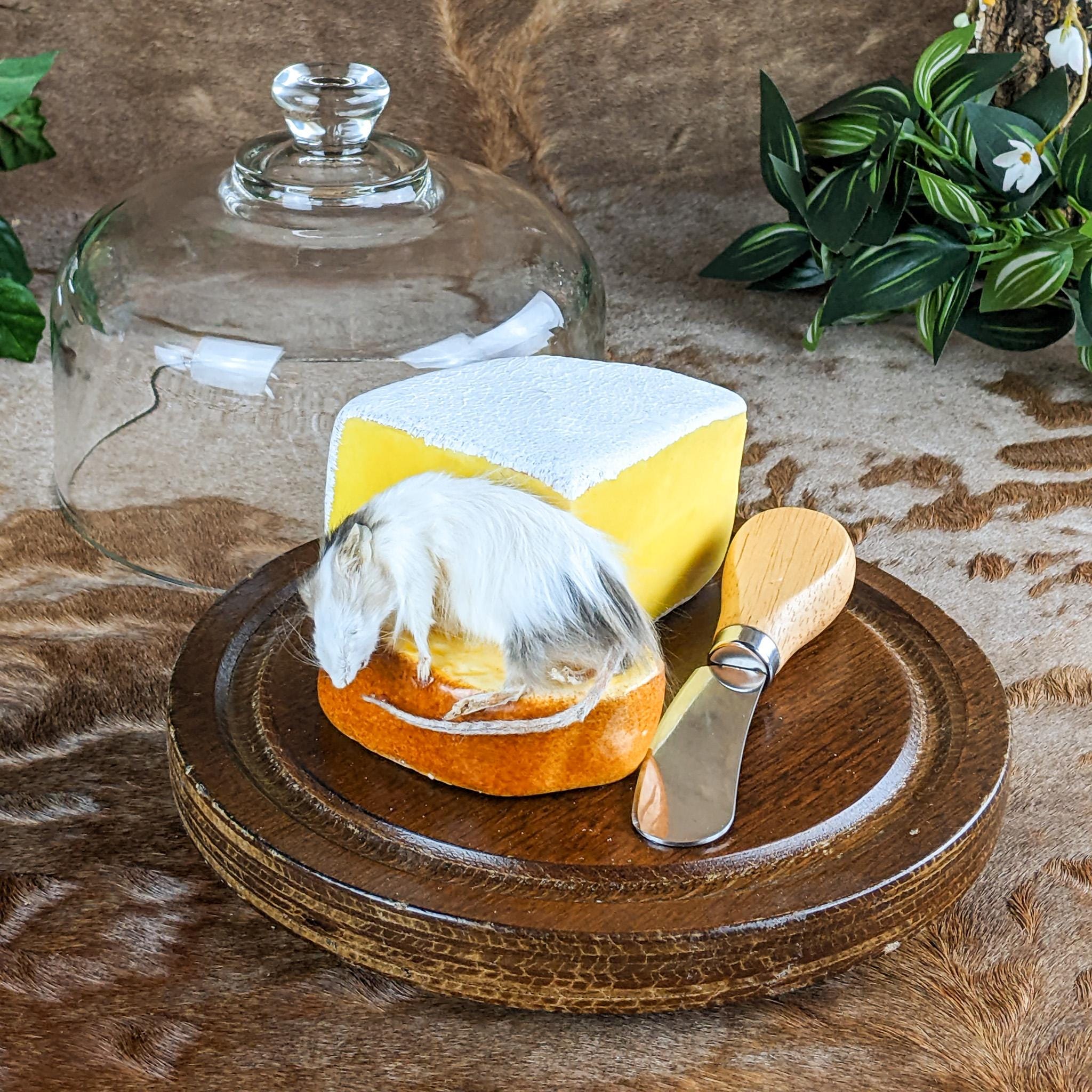 Mouse Cheese Dome - Etsy