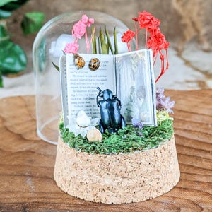 May include: A miniature terrarium featuring a cork base, green moss, and an open book with a forest illustration. It includes a dark blue beetle figurine, ladybug earrings, and dried flowers under a glass dome. The overall theme is whimsical and nature-inspired.