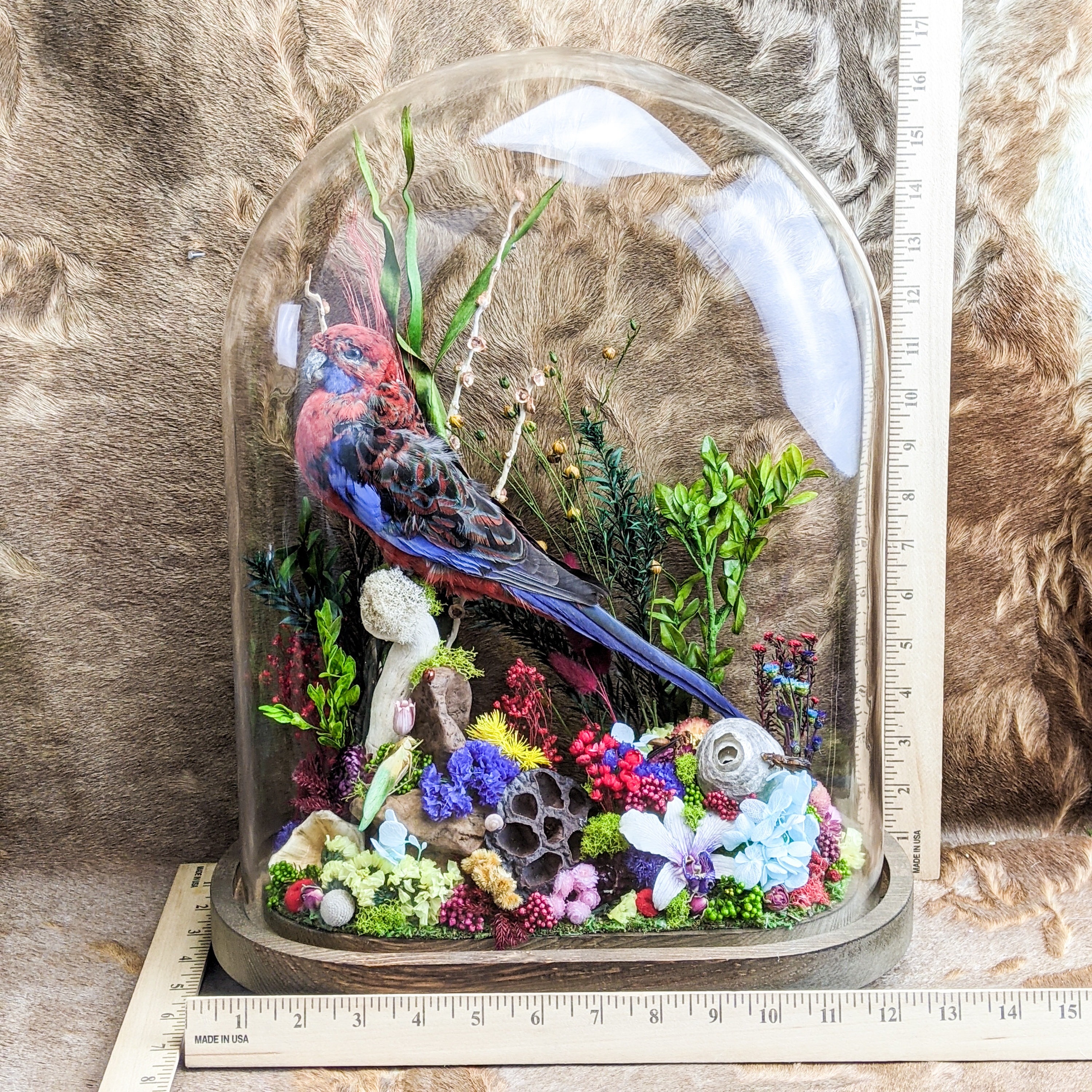 Exceptional Restored Victorian Bird Taxidermy Display – The Fab Pad