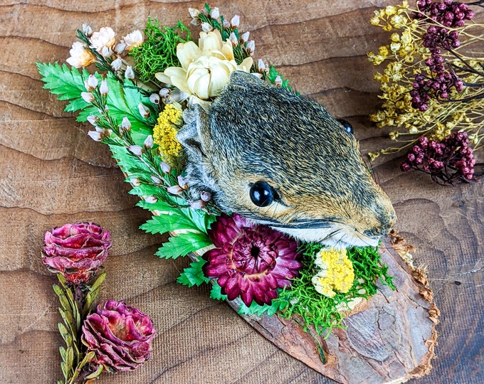 Squirrel Head Floral Taxidermy Oddities Curiosities Wall Mount Cottagecore display collectible decor preserved specimen hanging mount