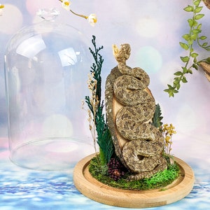 May include: A preserved rattlesnake coiled on a wooden slice, surrounded by dried greenery and moss, displayed under a glass dome on a wooden base.