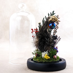 Possum Foot Crystal Ball Glass Dome Taxidermy Oddities Curiosities Zombie Display Preserved Specimen Decor Collectible