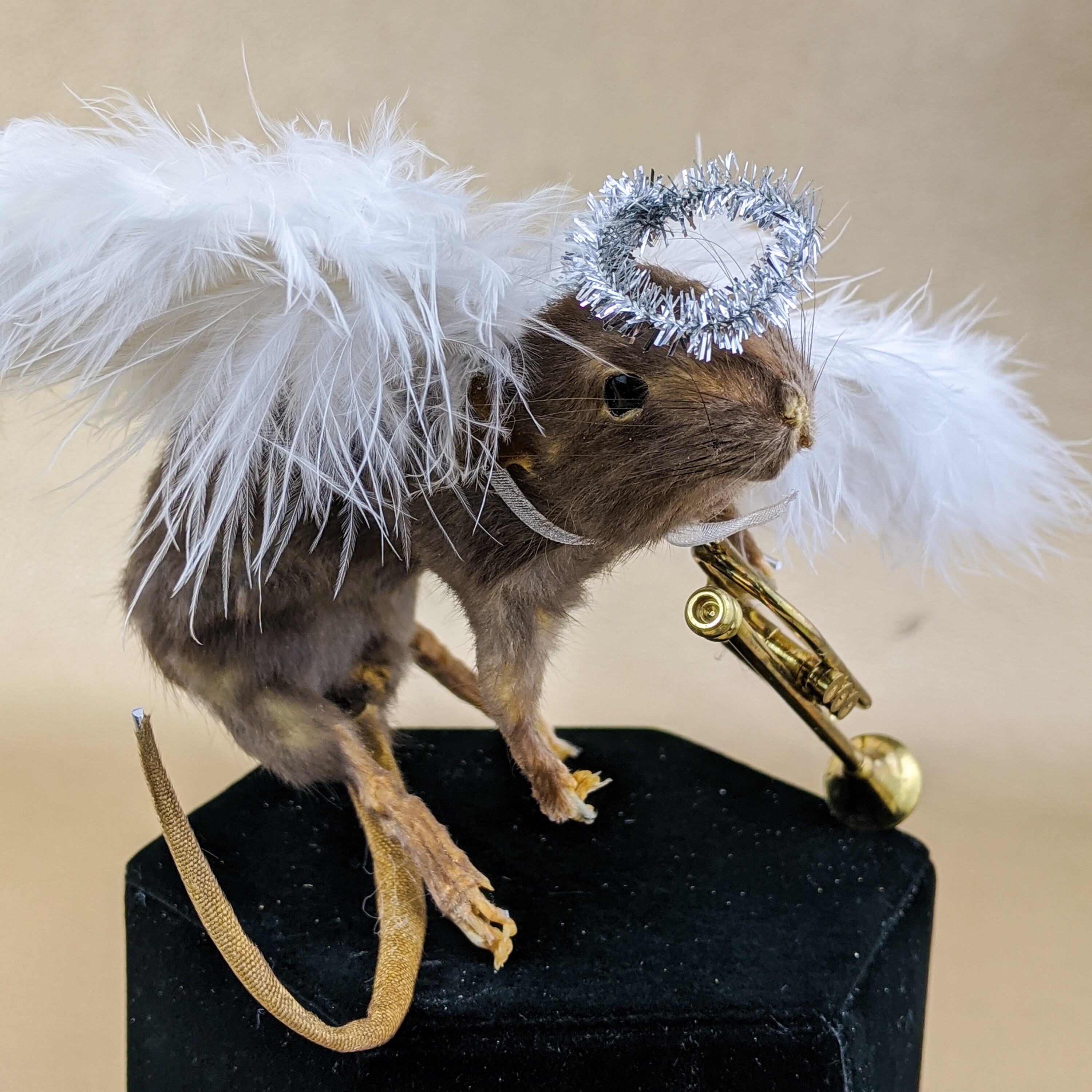 I10b Taxidermia Antropomórfica Ángel Rata con alas y cuerno de | Etsy