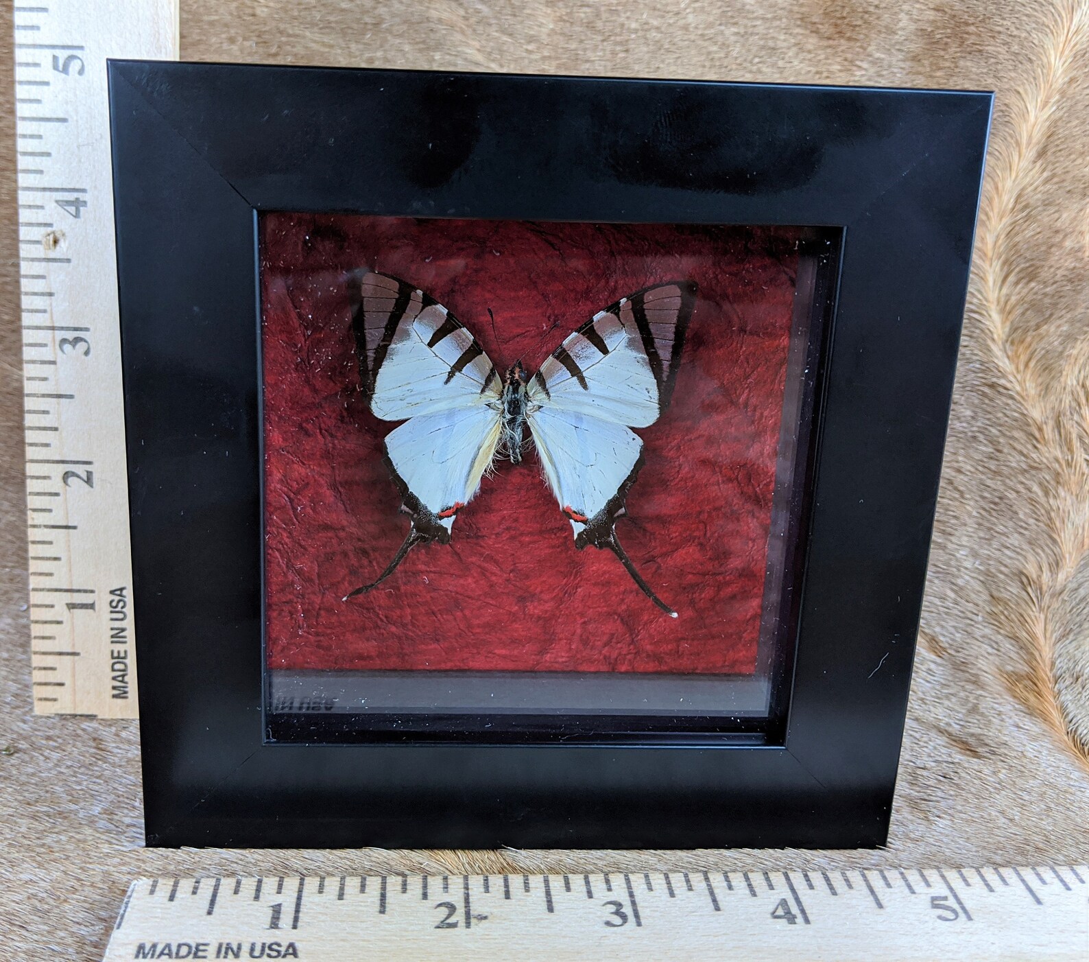 Camicia Pepe Jeans Misterton Per Ragazzi - 100% Cotone, Colletto Classico, Vestibilità Comoda - Foto 10