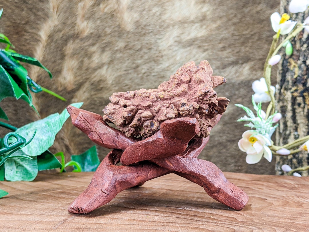 w35a-dinosaur-poop-fossil-display-oddities-curiosities-large-fossilized