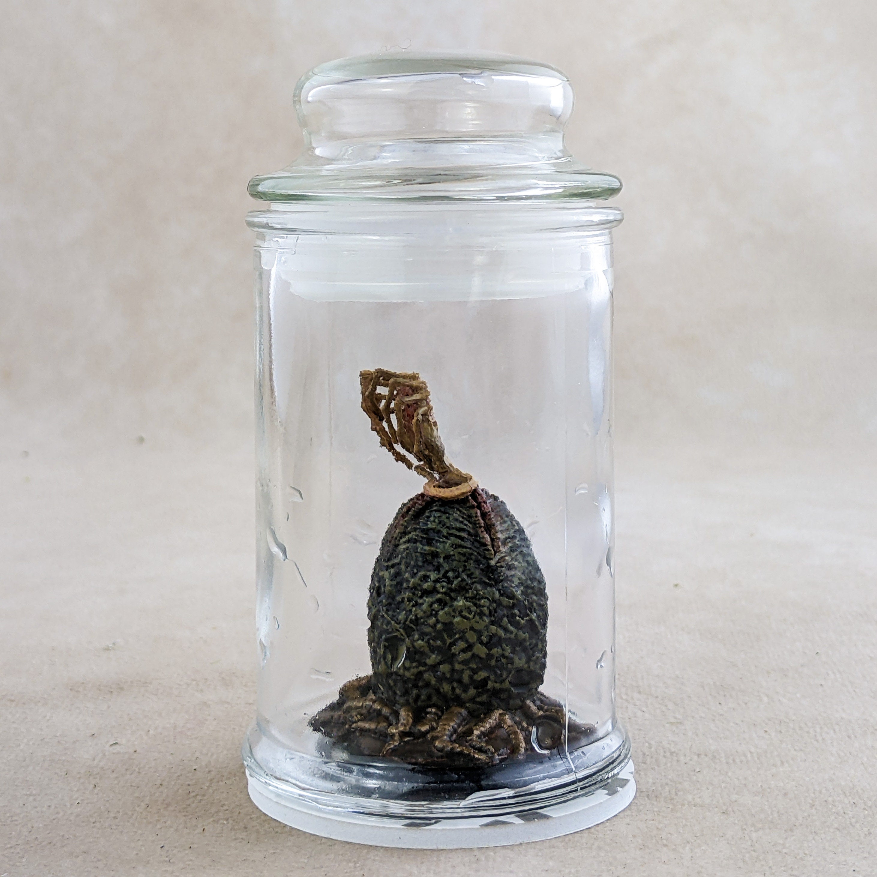 Alien Jar Xenomorph Specimen Facehugger Embryo & Egg Glass Jar Prop ...