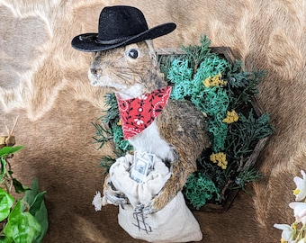 Cowboy Grey Squirrel Taxidermy Oddities Curiosities wall hanging display western man cave rustic cabin decor rodent collectible gift for him
