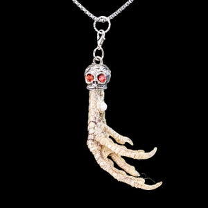 May include: A silver chain necklace with a skull charm and a detailed chicken foot pendant. The skull has red gemstone eyes.