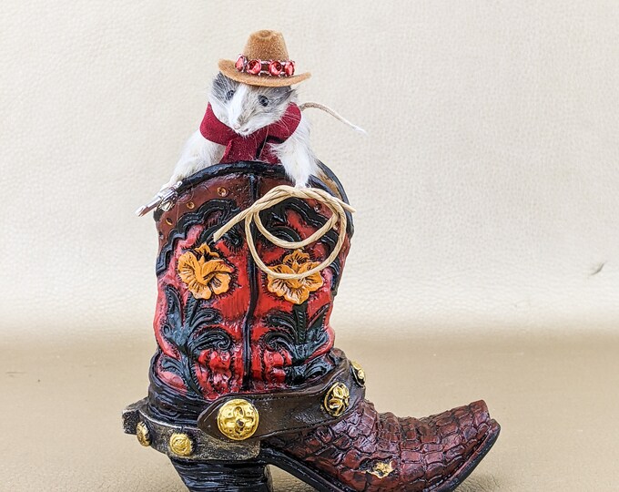 G54f Cowboy Mouse in Boot Display Cute Taxidermy Oddities Curiosities Lasso collectible curiosity cabinet rat preserved specimen gift