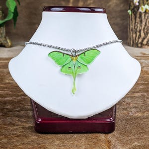 Luna Moth Necklace Oddity Curiosity Mystical Fairy jewelry Acrylic pendant gift fashion jewelry Green Mystical Fairy Butterfly necklace