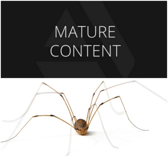 wet specimen insect bug collectible decor educational taxidermy CMisc.13 Entomology Wet Specimen Glass jar Daddy long-legs Spider
