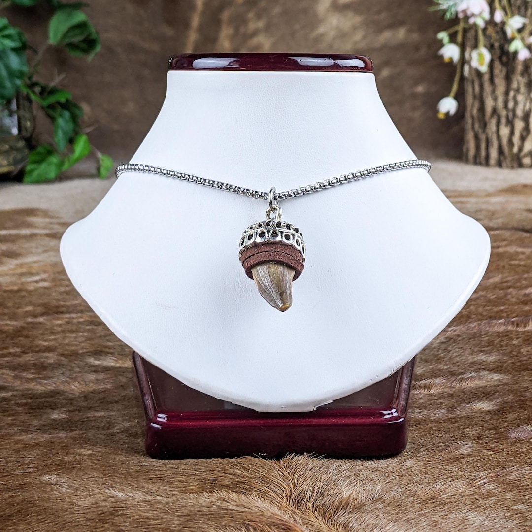 Dinosaur Tooth Necklace Real Mosasaur Fossil Dino Tooth Jewelry