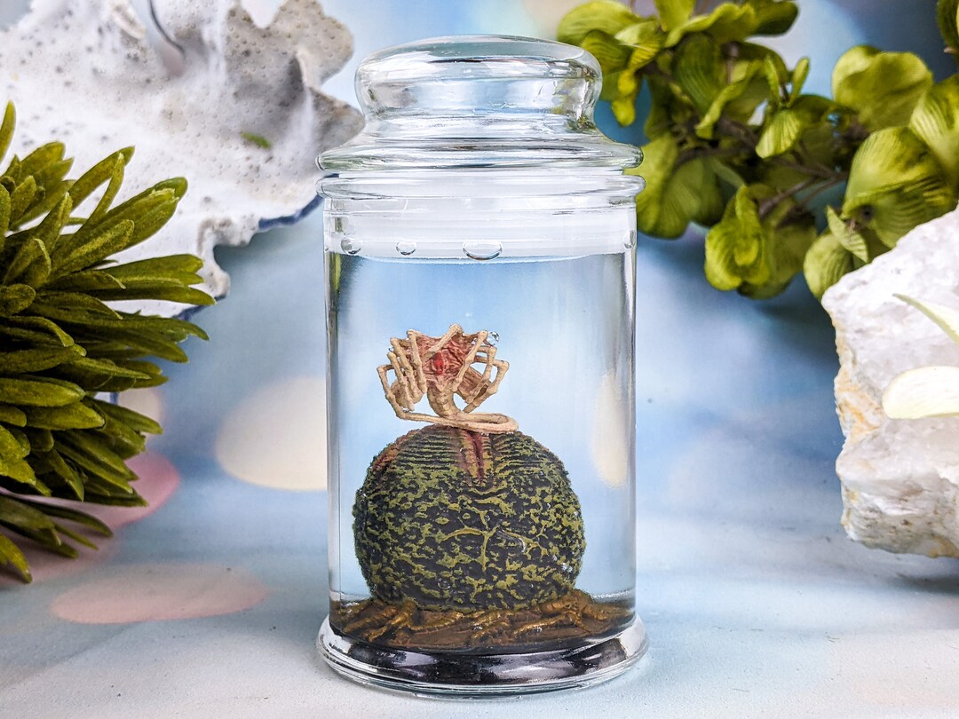 Alien Jar Xenomorph Specimen Facehugger Embryo & Egg Glass Jar Prop ...