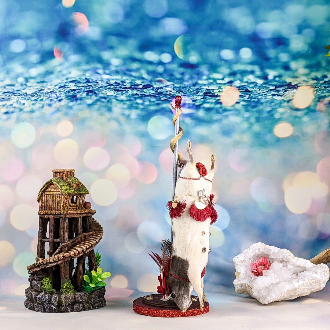 V36b Stripper Squirrel Pole Burlesque Showgirl Taxidermy Oddities