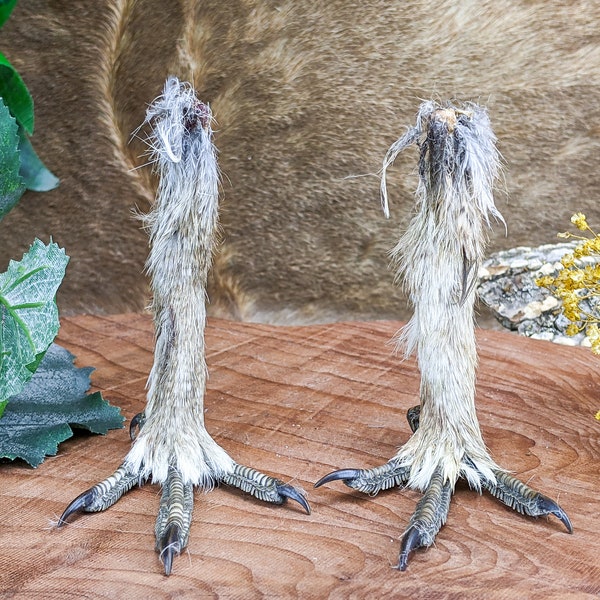 Bird Feet Costume Etsy