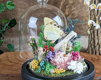 May include: A decorative display featuring a preserved butterfly with cream-colored wings, set amidst colorful dried flowers and greenery. The arrangement is housed within a clear glass cloche on a black base, creating a unique botanical art piece.
